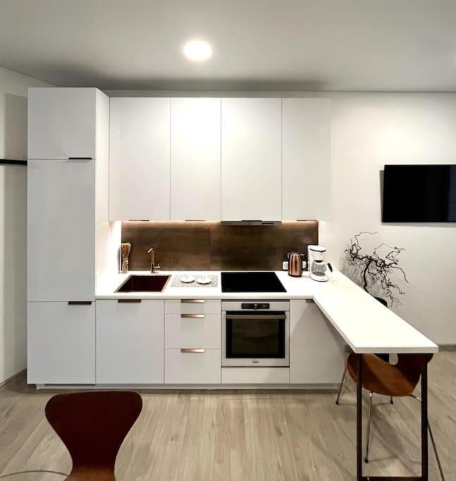 Kaunas Old Town Apartment ภายนอก รูปภาพ